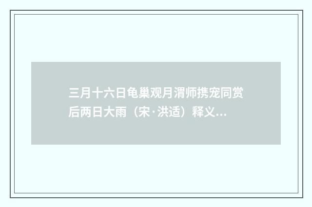 三月十六日龟巢观月渭师携宠同赏后两日大雨（宋·洪适）释义及解释