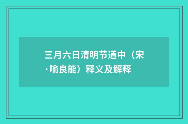 三月六日清明节道中（宋·喻良能）释义及解释