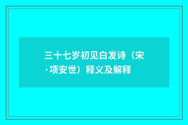 三十七岁初见白发诗（宋·项安世）释义及解释