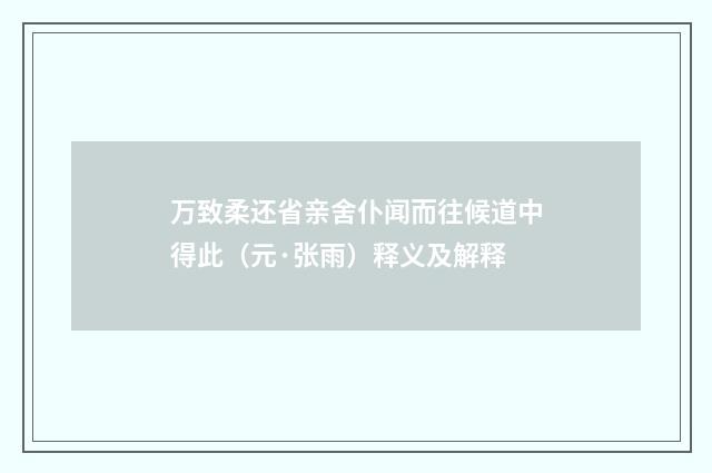 万致柔还省亲舍仆闻而往候道中得此（元·张雨）释义及解释