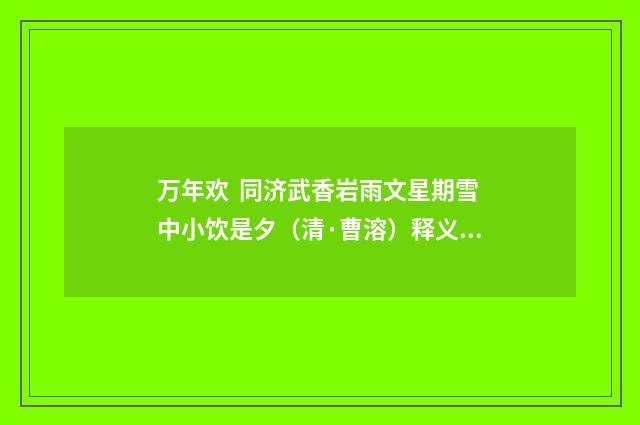 万年欢 同济武香岩雨文星期雪中小饮是夕（清·曹溶）释义及解释
