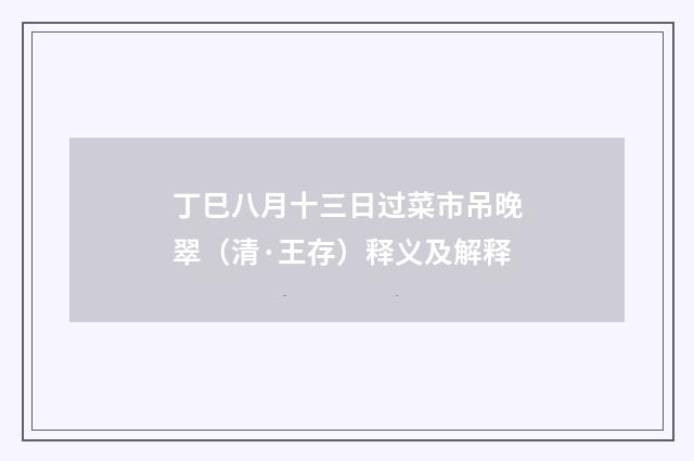 丁巳八月十三日过菜市吊晚翠（清·王存）释义及解释