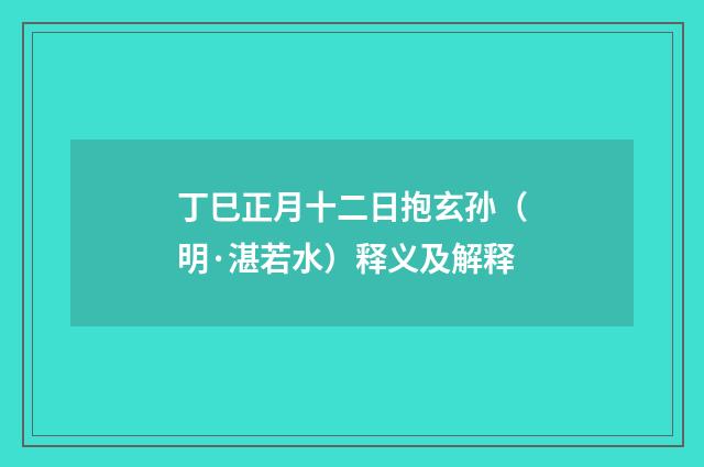 丁巳正月十二日抱玄孙（明·湛若水）释义及解释