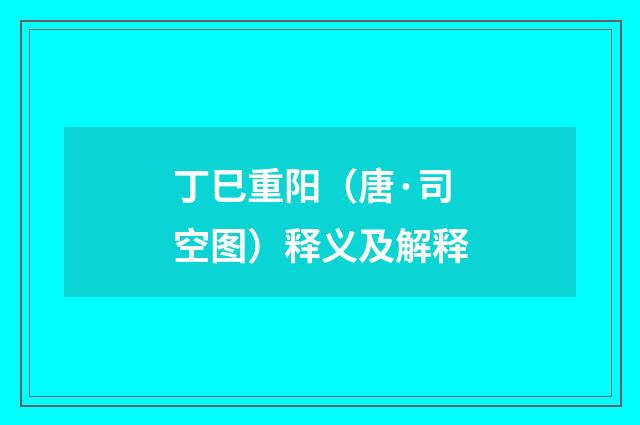 丁巳重阳（唐·司空图）释义及解释