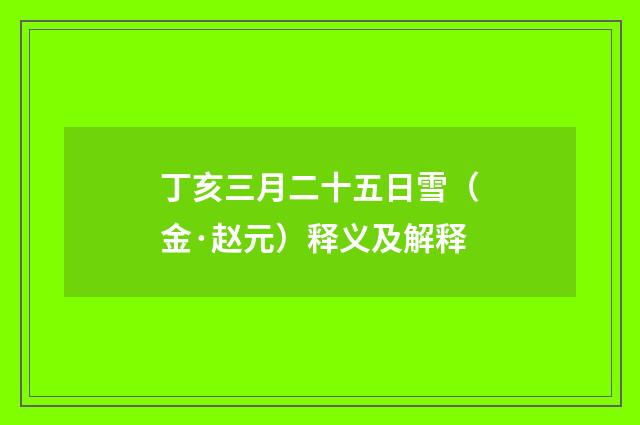 丁亥三月二十五日雪（金·赵元）释义及解释
