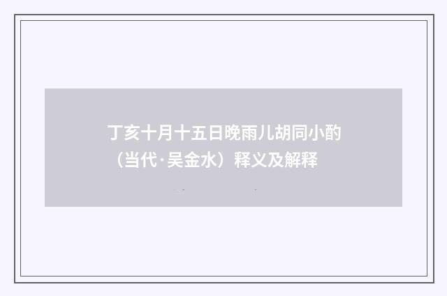 丁亥十月十五日晚雨儿胡同小酌（当代·吴金水）释义及解释