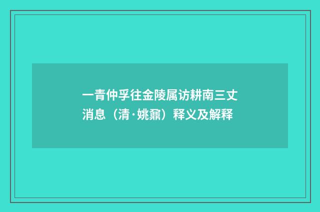 一青仲孚往金陵属访耕南三丈消息（清·姚鼐）释义及解释