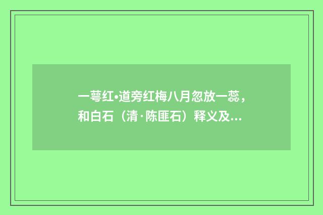 一萼红•道旁红梅八月忽放一蕊，和白石（清·陈匪石）释义及解释