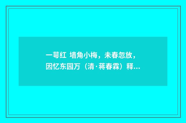 一萼红 墙角小梅，未春忽放，因忆东园万（清·蒋春霖）释义及解释