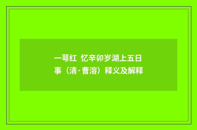 一萼红 忆辛卯岁湖上五日事（清·曹溶）释义及解释