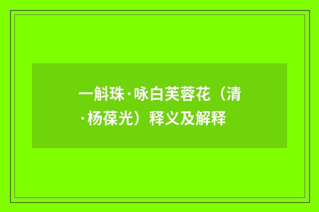 一斛珠·咏白芙蓉花（清·杨葆光）释义及解释