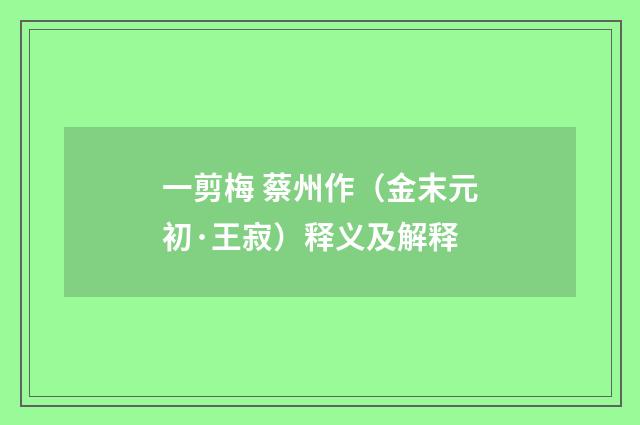 一剪梅 蔡州作（金末元初·王寂）释义及解释