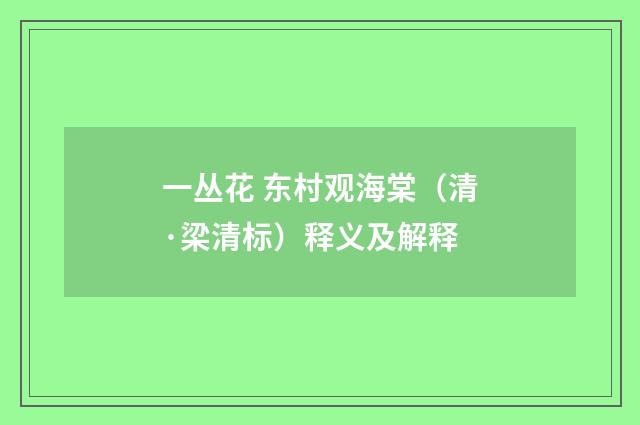 一丛花 东村观海棠（清·梁清标）释义及解释