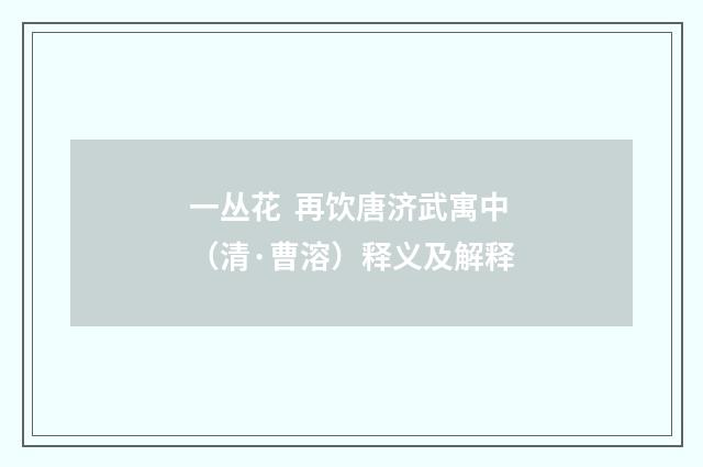 一丛花 再饮唐济武寓中（清·曹溶）释义及解释