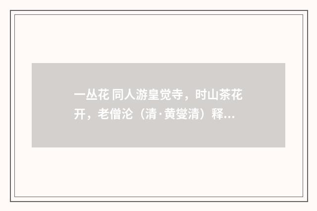 一丛花 同人游皇觉寺，时山茶花开，老僧沦（清·黄燮清）释义及解释