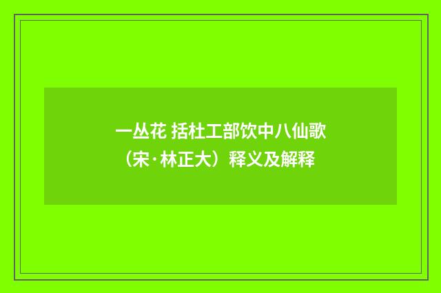 一丛花 括杜工部饮中八仙歌（宋·林正大）释义及解释