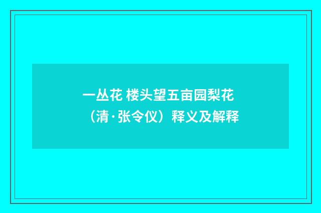 一丛花 楼头望五亩园梨花（清·张令仪）释义及解释