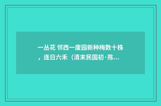 一丛花 邻西一废园新种梅数十株，连日六禾（清末民国初·陈洵）释义及解释