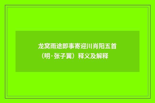 龙窝雨途即事寄迎川肖阳五首（明·张子翼）释义及解释