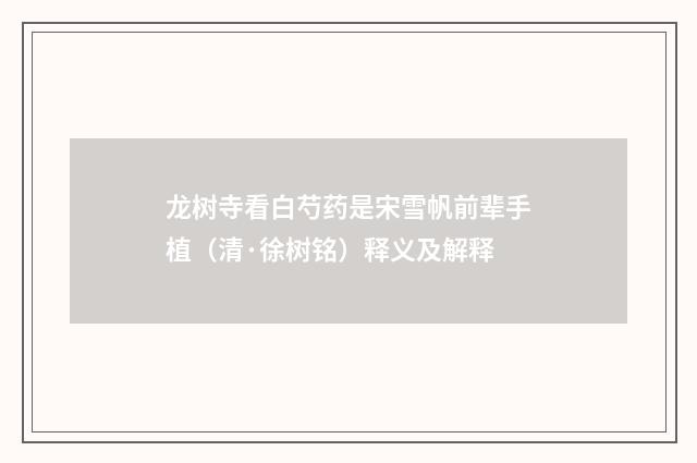 龙树寺看白芍药是宋雪帆前辈手植（清·徐树铭）释义及解释