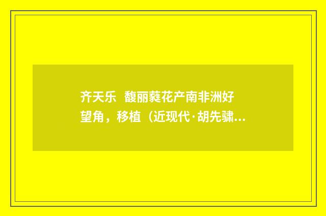 齐天乐 馥丽蕤花产南非洲好望角，移植（近现代·胡先骕）释义及解释