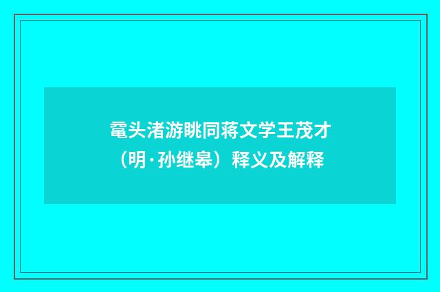 鼋头渚游眺同蒋文学王茂才（明·孙继皋）释义及解释