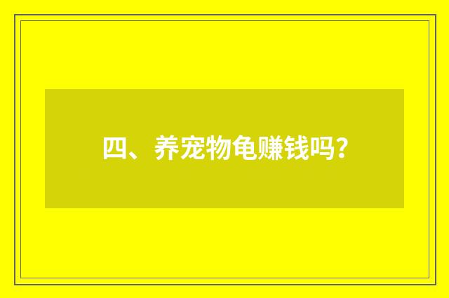 四、养宠物龟赚钱吗?