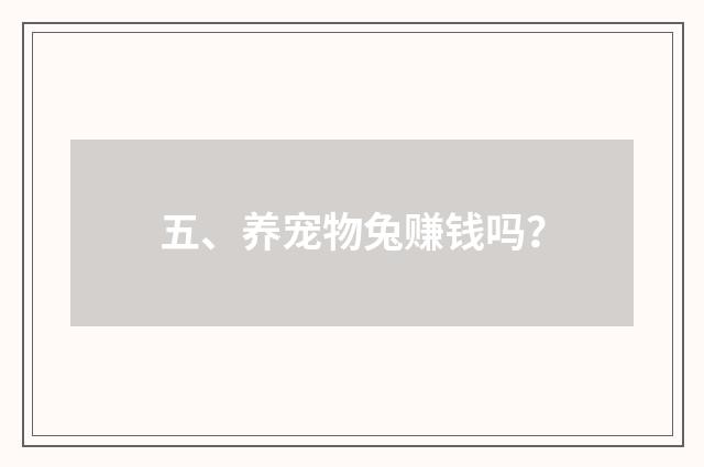 五、养宠物兔赚钱吗？