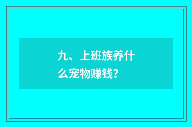 九、上班族养什么宠物赚钱？
