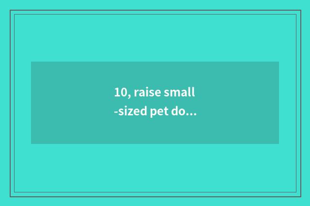 10, raise small-sized pet dog to you can make money?