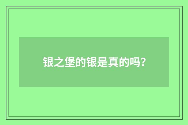 银之堡的银是真的吗？