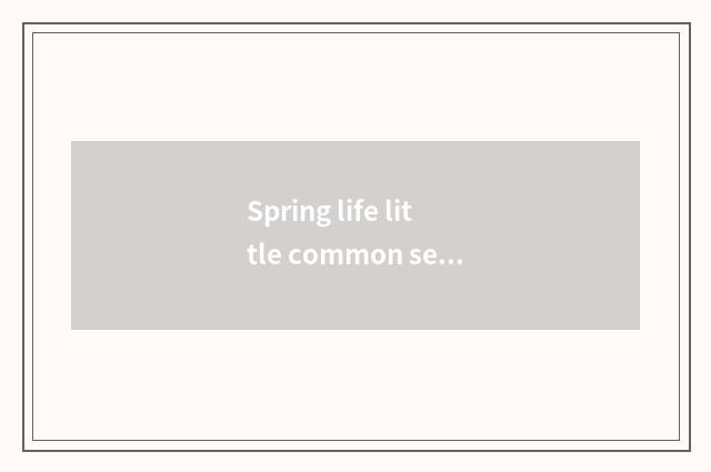 Spring life little common sense?