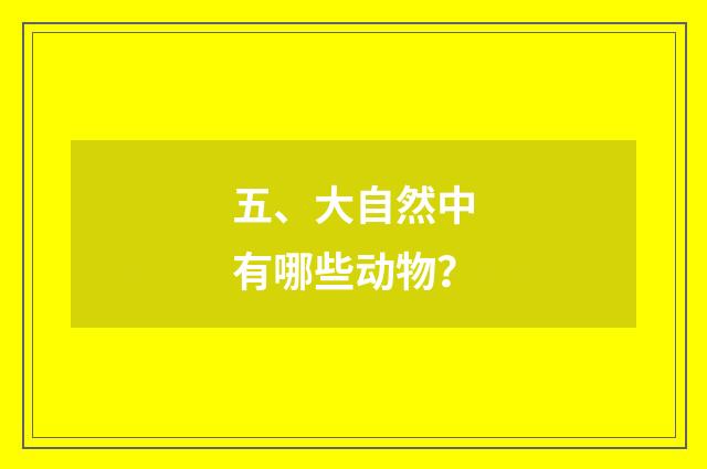 五、大自然中有哪些动物?