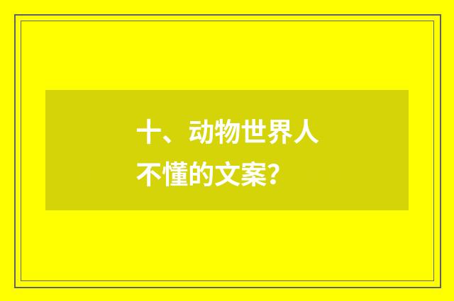 十、动物世界人不懂的文案？