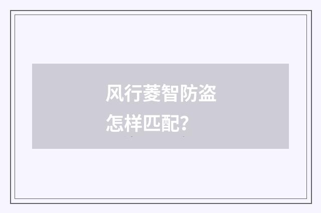 风行菱智防盗怎样匹配？