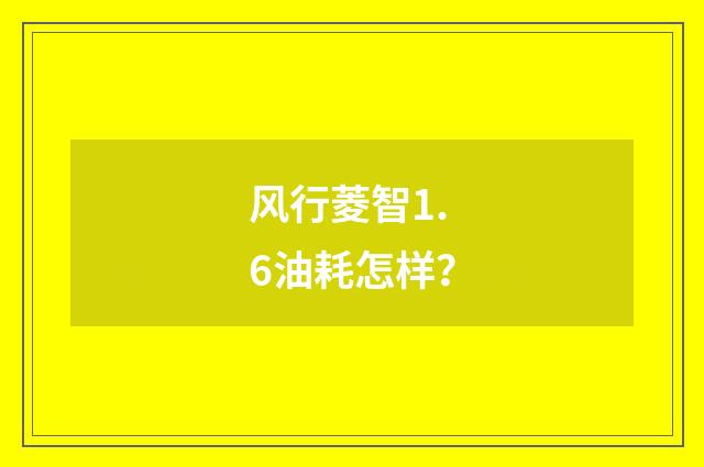 风行菱智1.6油耗怎样？