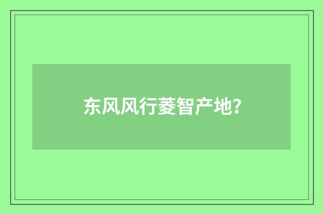 东风风行菱智产地？