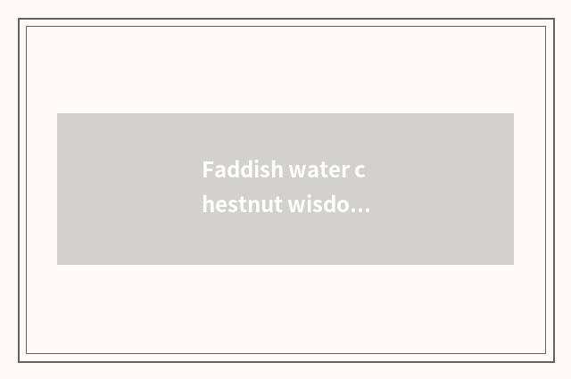 Faddish water chestnut wisdom quality how?