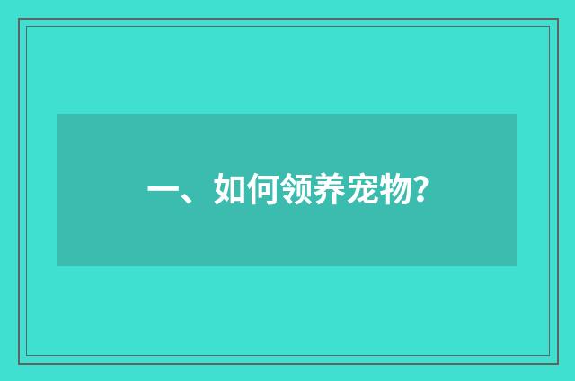 一、如何领养宠物？