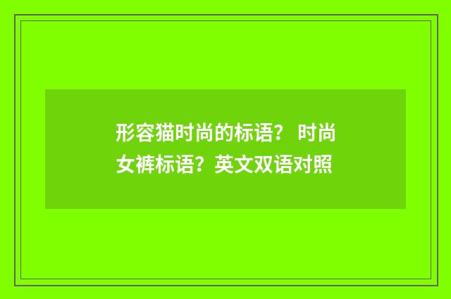 形容猫时尚的标语？ 时尚女裤标语？英文双语对照