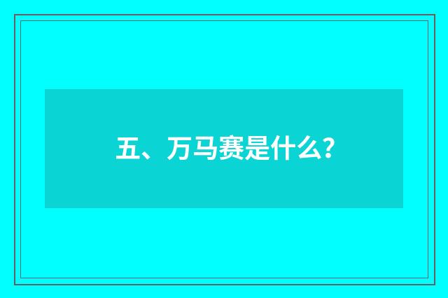 五、万马赛是什么？