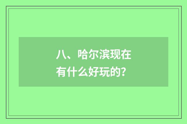 八、哈尔滨现在有什么好玩的？