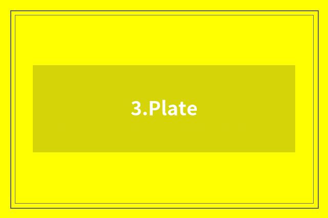 3.Plate