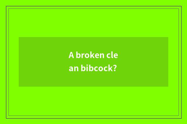 A broken clean bibcock?