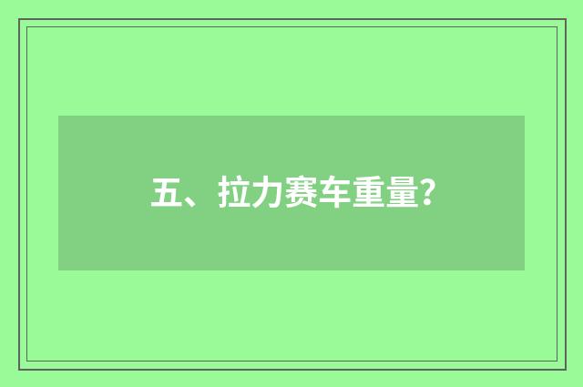 五、拉力赛车重量？