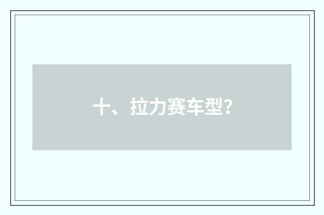 十、拉力赛车型？