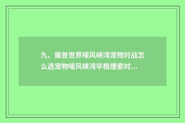 九、魔兽世界嚎风峡湾宠物对战怎么选宠物嚎风峡湾毕格爆索对战攻略？
