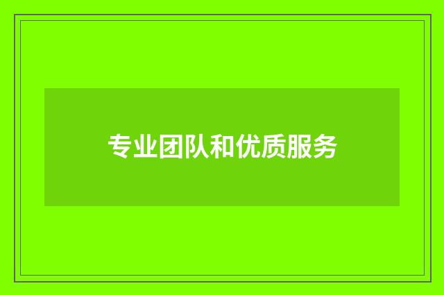 专业团队和优质服务