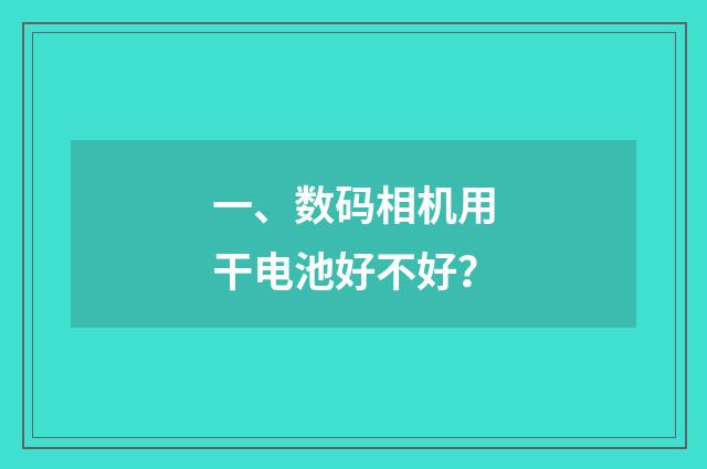 一、数码相机用干电池好不好？