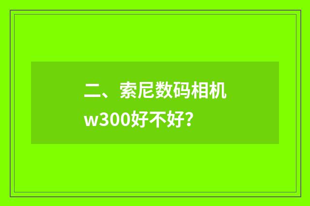 二、索尼数码相机w300好不好？